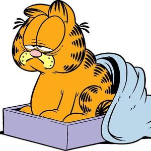 Meet your Posher, Darlene